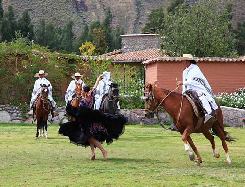 Foto 5 de Espectáculo del Caballo de Paso Peruano